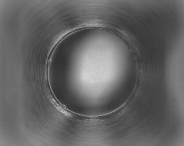 X0000077311236200610201145