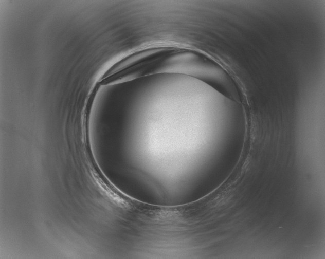 X0000077311238200610201145