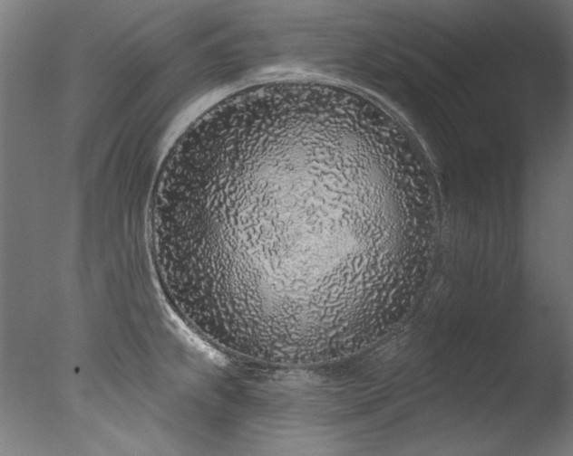 X0000077311239200610201145
