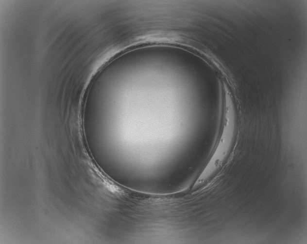 X0000077311240200610201145