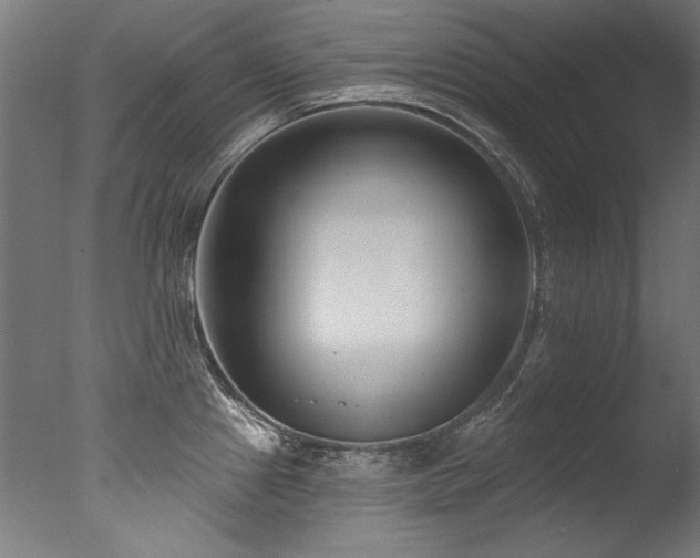 X0000077311241200610201145