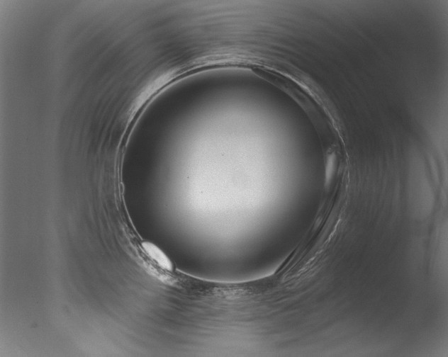 X0000077311242200610201145