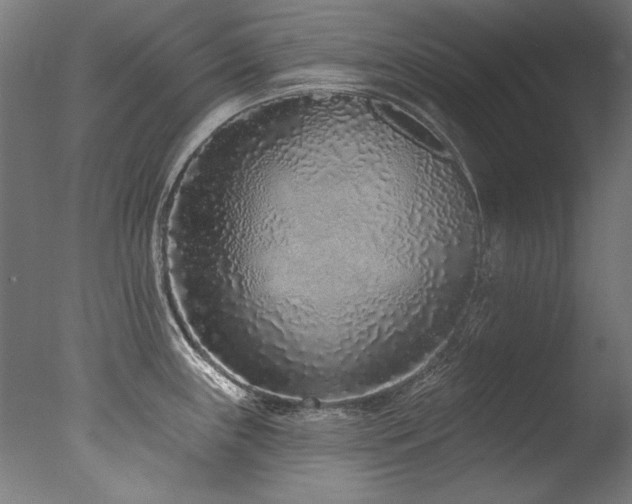 X0000077311243200610201145