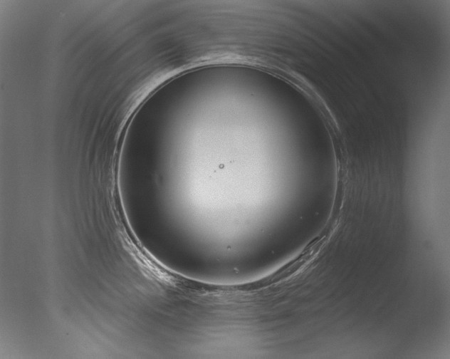 X0000077311244200610201145