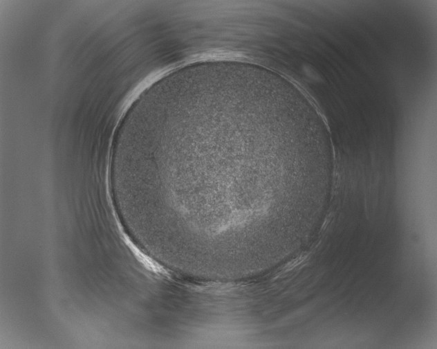 X0000077311245200610201145