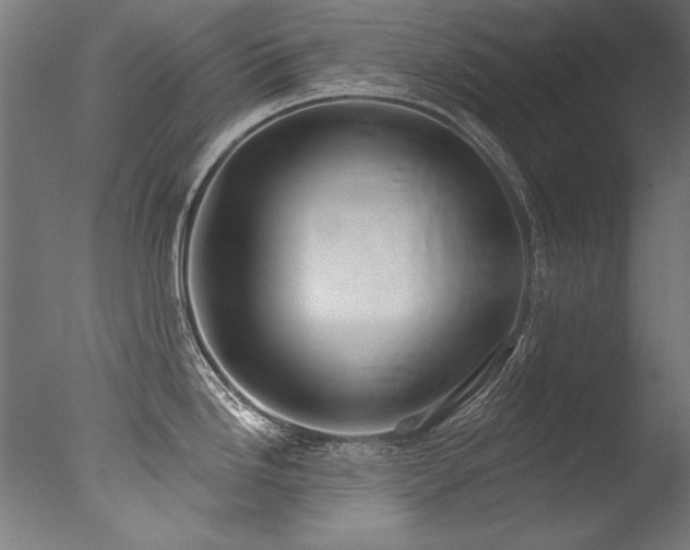 X0000077311246200610201145