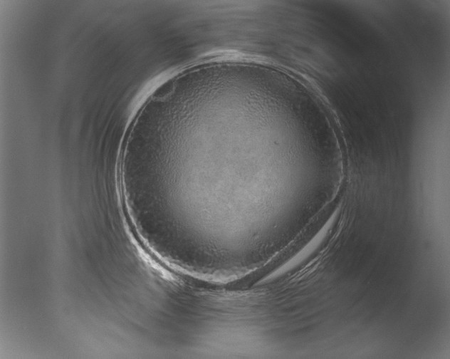 X0000077311247200610201145