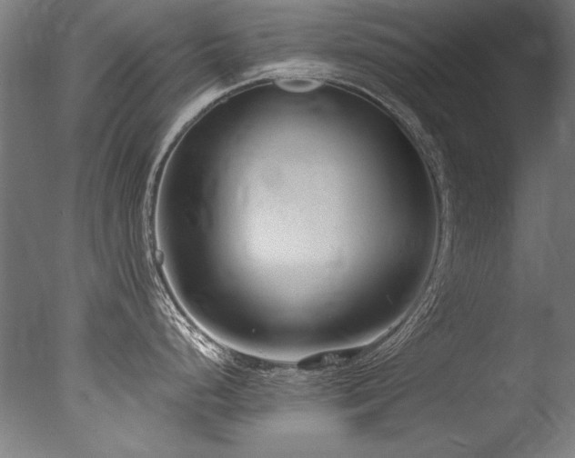 X0000077311248200610201145