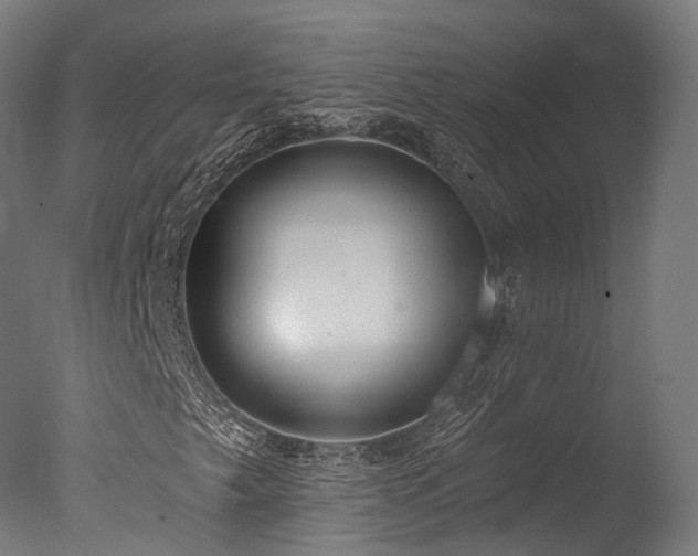 X0000077311249200610201144