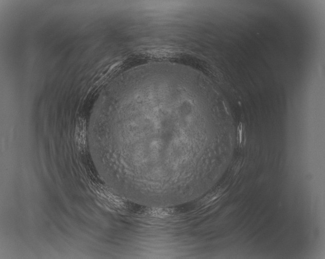 X0000077311251200610201144