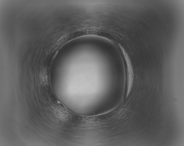 X0000077311252200610201144