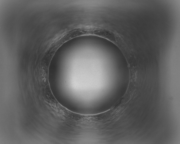 X0000077311253200610201144