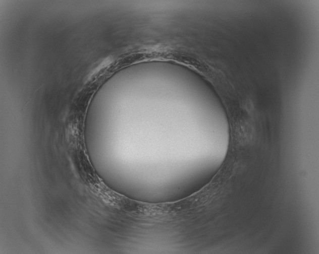 X0000077311254200610201144