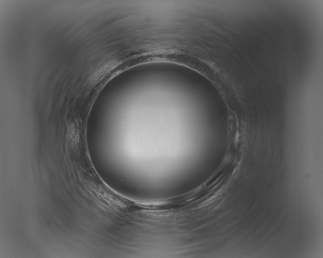 X0000077311257200610201144