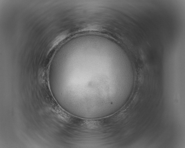 X0000077311258200610201144