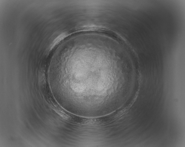X0000077311259200610201144