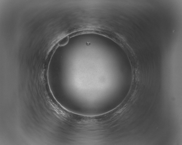 X0000077311260200610201144