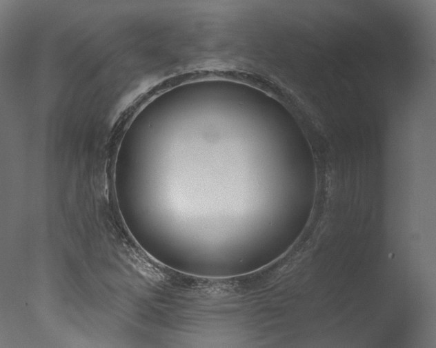 X0000077311262200610201144