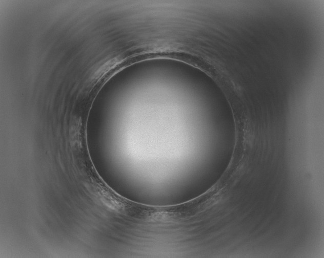 X0000077311265200610201144