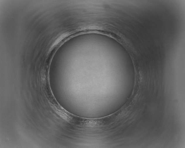 X0000077311266200610201144