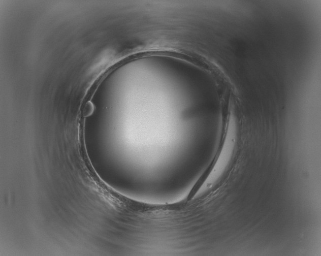 X0000077311268200610201144