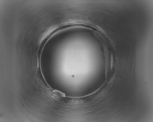 X0000077311269200610201144