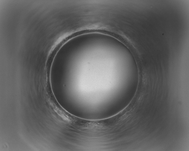 X0000077311270200610201144