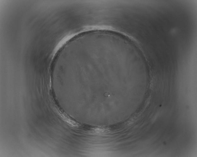 X0000077311271200610201144