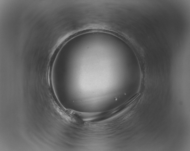 X0000077311272200610201144
