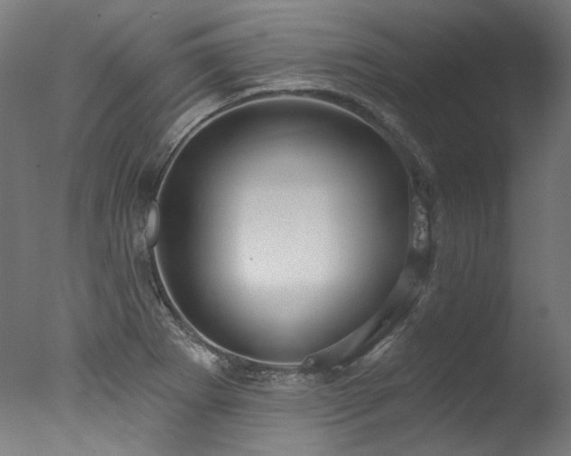 X0000077311273200610201144