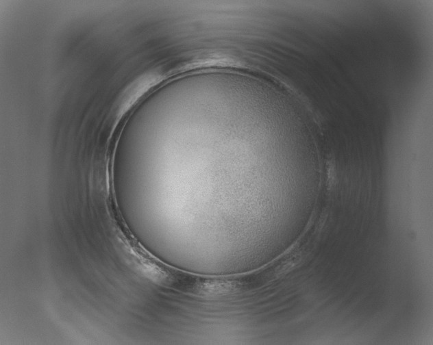 X0000077311274200610201144