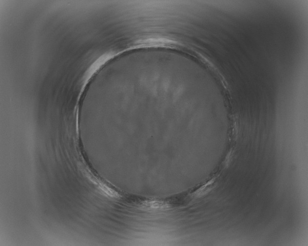 X0000077311275200610201144