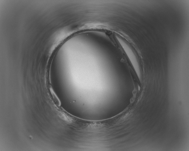 X0000077311277200610201144