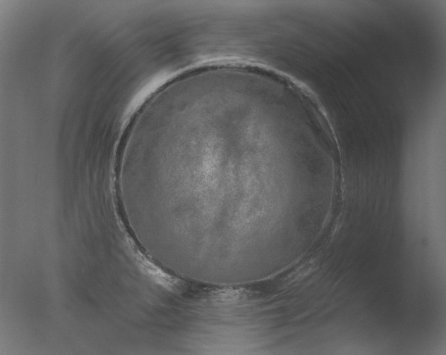 X0000077311279200610201143