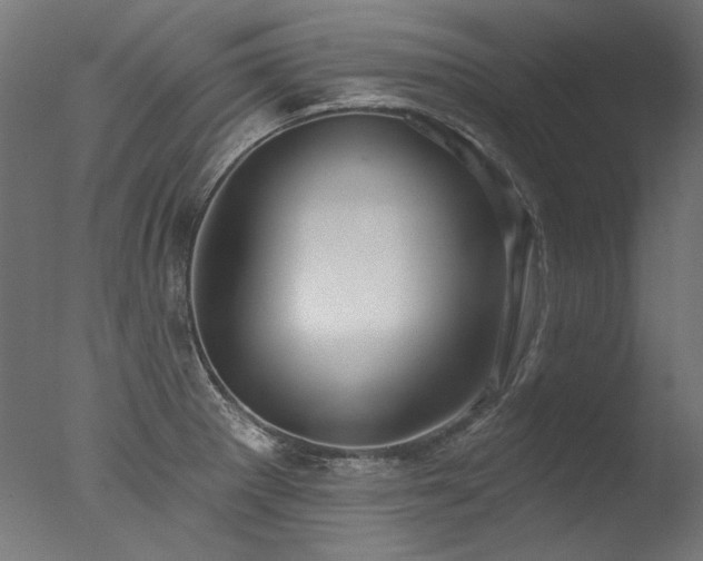 X0000077311281200610201143