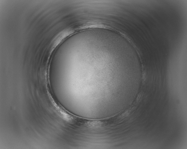 X0000077311282200610201143