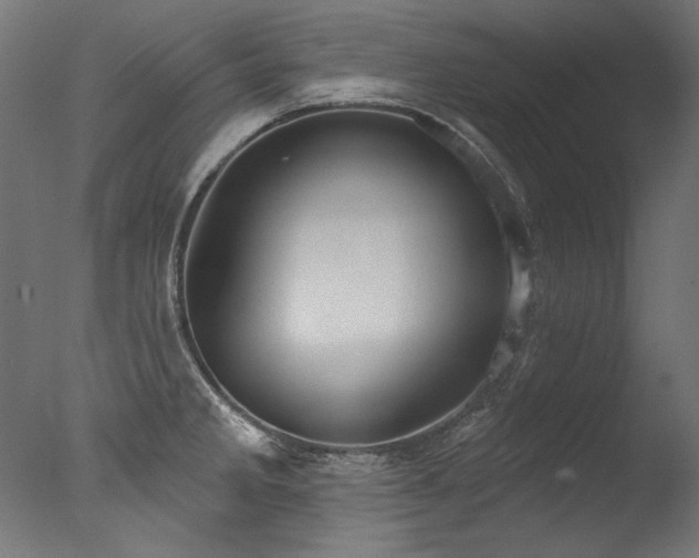 X0000077311285200610201143