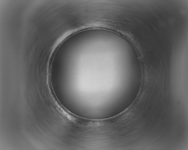 X0000077311286200610201143