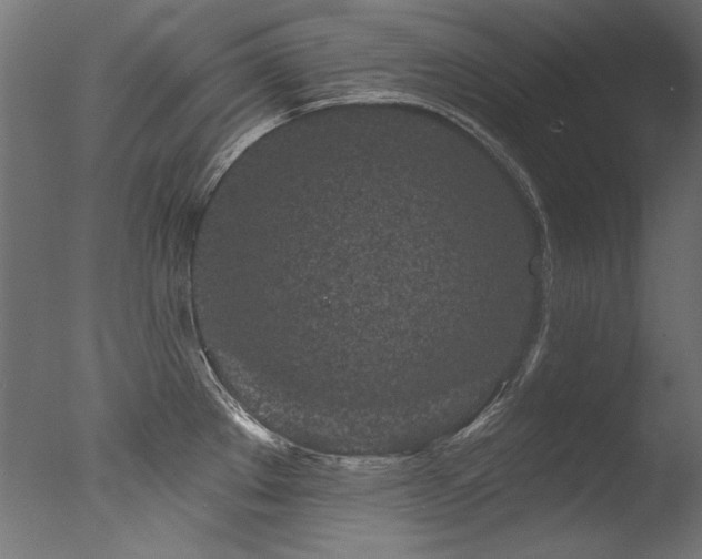 X0000077311289200610201143