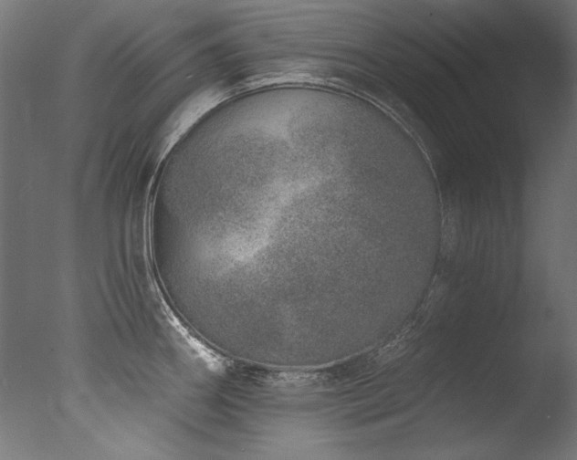 X0000077311290200610201143