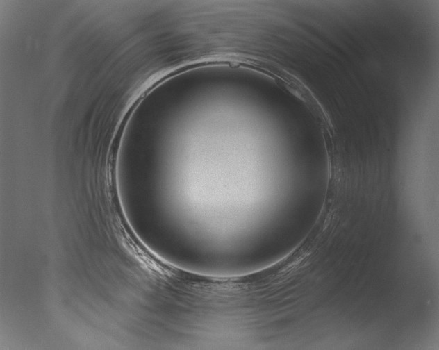 X0000077311292200610201143