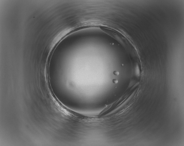 X0000077311293200610201143