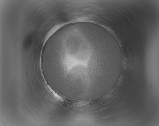 X0000077311294200610201143