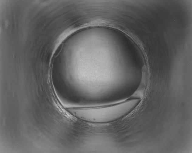 X0000077311296200610201143