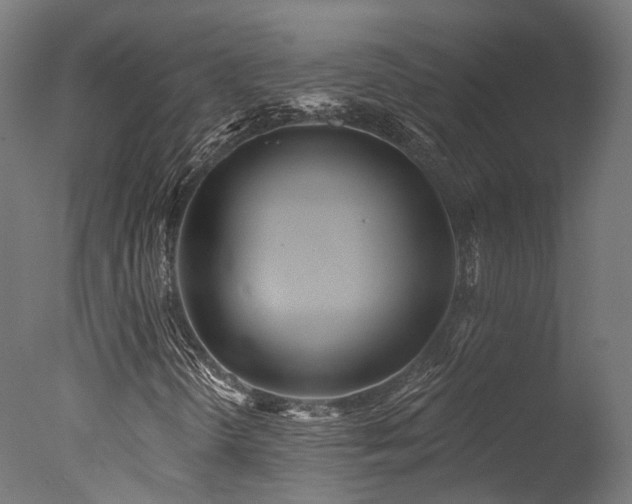 X0000077311298200610201142