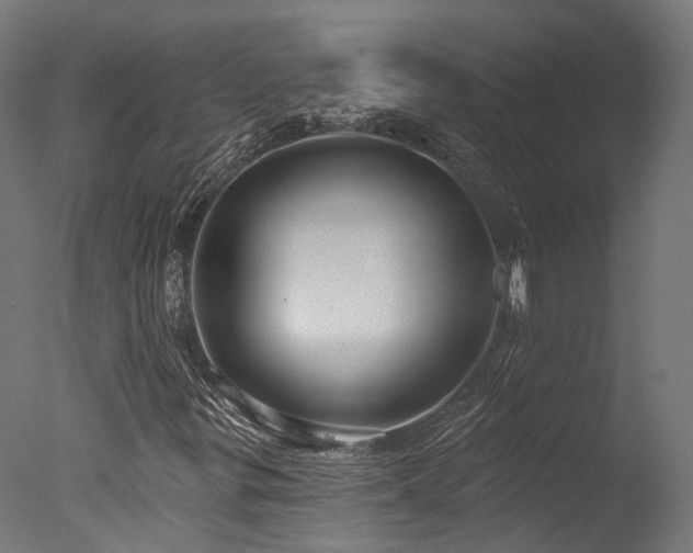 X0000077311299200610201142