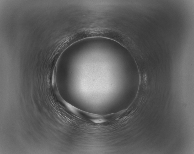 X0000077311300200610201142