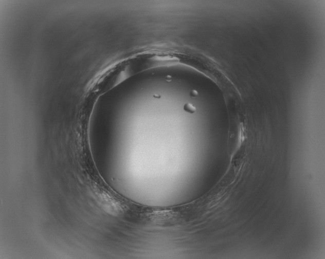 X0000077311304200610201142