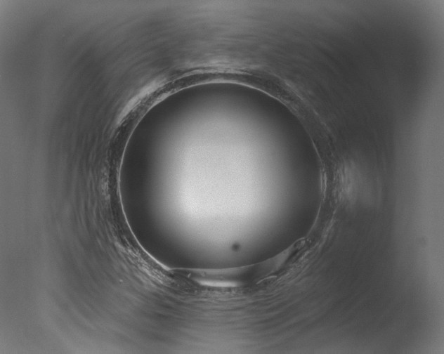 X0000077311307200610201143
