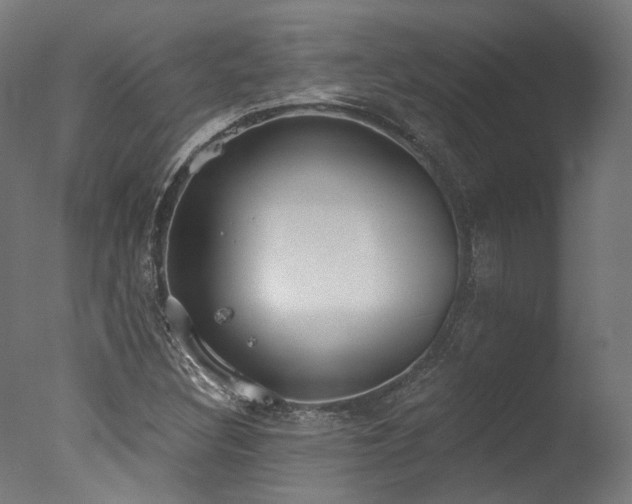 X0000077311308200610201143